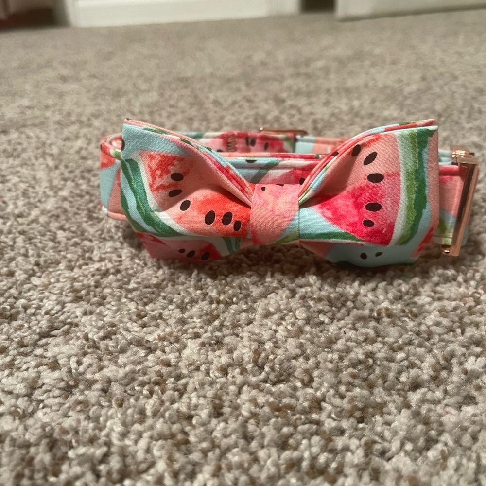 Dog collar